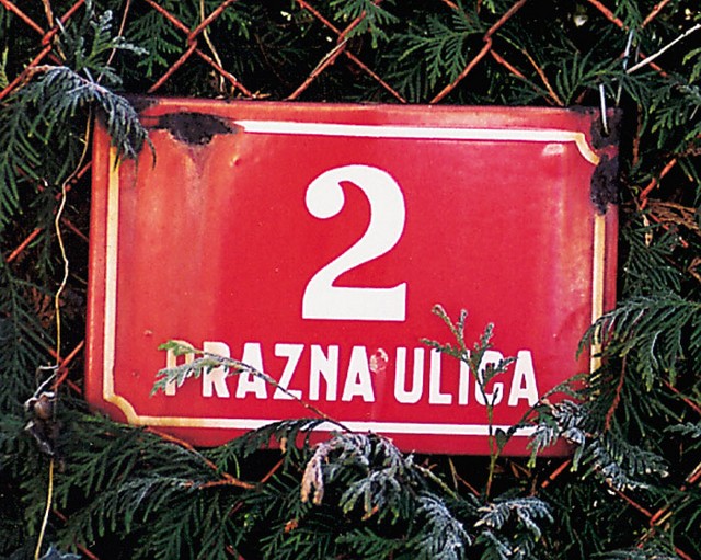 | © Nebojša Tejič