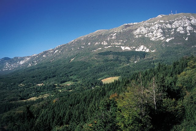 Mlake Mlake