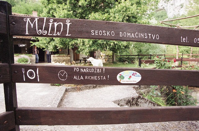 Mlini