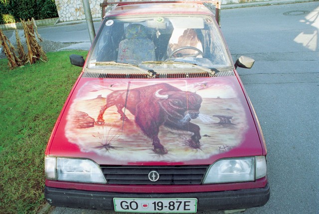 Zidarski bizon Zidarski bizon