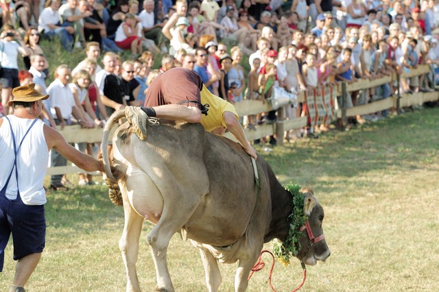 Rodeo 1 Rodeo 1