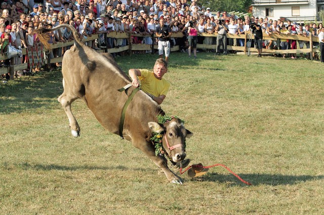 Rodeo 2 Rodeo 2