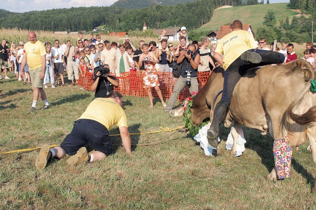 Moledovanje par stopinj pred ciljno črto Moledovanje par stopinj pred ciljno črto