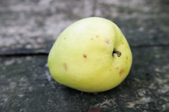 Špičke Špičke