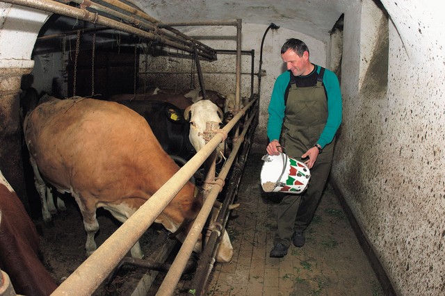 Štefan Inglič otrok ne namerava usmerjati v kmetijstvo Štefan Inglič otrok ne namerava usmerjati v kmetijstvo