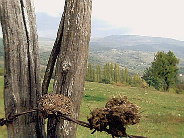 Proces sušenja Proces sušenja