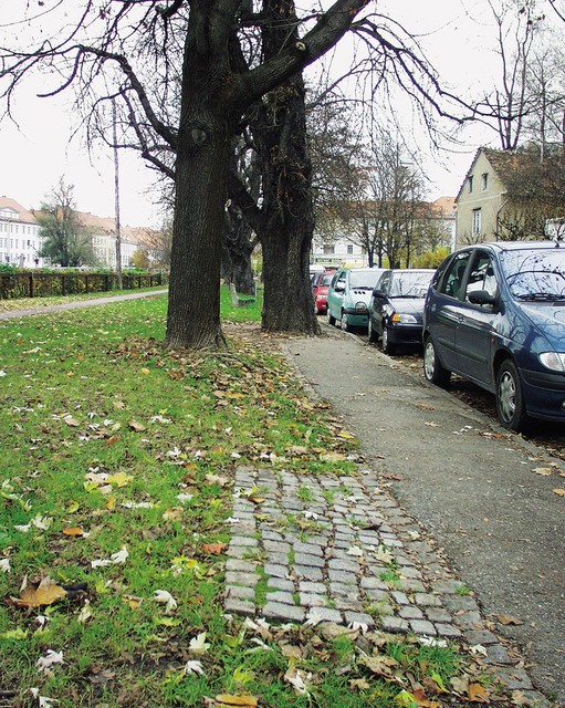 Umaknjena klopca Umaknjena klopca