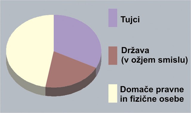 Lastniška struktura slovenskega bančnega sektorja na dan 31. 12. 2003 (v odstotkih) Lastniška struktura slovenskega bančnega sektorja na dan 31. 12. 2003 (v odstotkih)