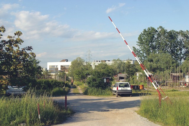Vrtičkarji na zemljišču, kjer naj bi postavili džamijo Vrtičkarji na zemljišču, kjer naj bi postavili džamijo