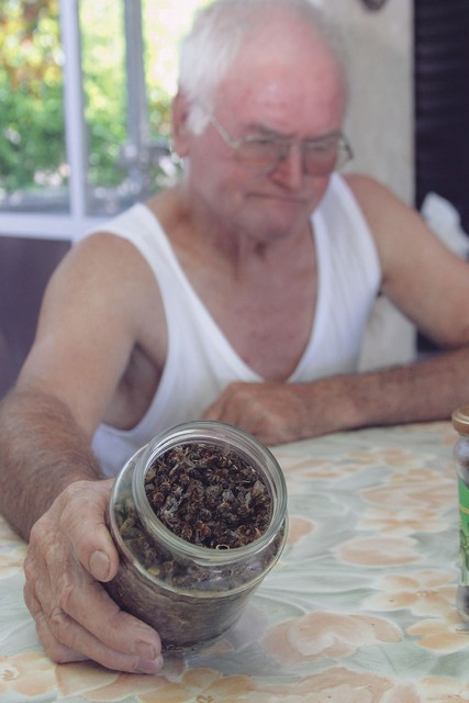 Čebelar Nedeljko Lukežič iz Seče: <I>'Čez noč sem izgubil več kot 200.000 čebel.'</I>