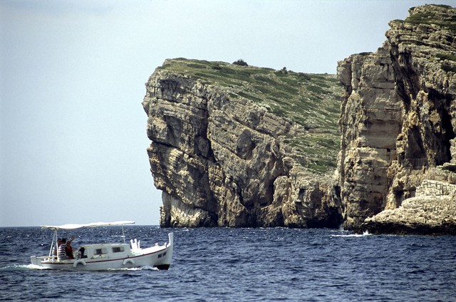 Stena: sto metrov nad morjem, sto metrov v globini Stena: sto metrov nad morjem, sto metrov v globini