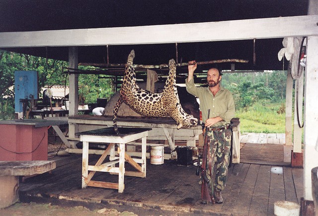 Dolgo sem bil prepričan, da je jaguar kralj amazonske džungle, a Dušan me je podučil, da je to vendarle puma, ki se ji menda celo ta zver vedno ogne. Dolgo sem bil prepričan, da je jaguar kralj amazonske džungle, a Dušan me je podučil, da je to vendarle puma, ki se ji menda celo ta zver vedno ogne.