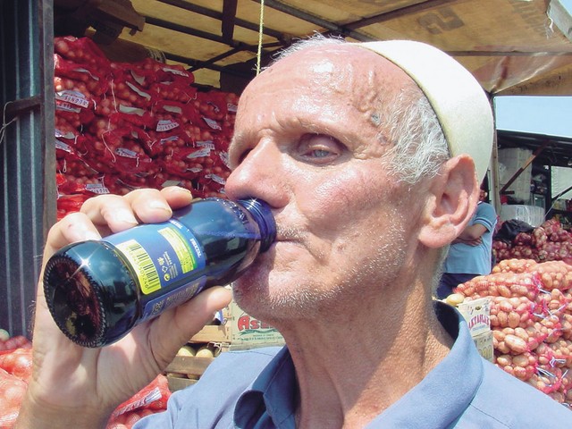 Poleti je Fructal na južnih trgih doživel borovničev šok
