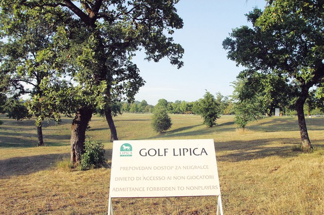 Igrišče za golf je lahko kjerkoli. Zakaj bi ga imeli ravno na zavarovanem in občutljivem kraškem območju? Igrišče za golf je lahko kjerkoli. Zakaj bi ga imeli ravno na zavarovanem in občutljivem kraškem območju?