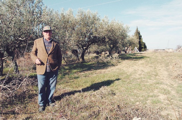 Družina Pištan naj bi imela pred selitvijo v Italijo v lasti 15 hektarjev kmetijskih zemljišč. Med zemljišči, ki jih želi nazaj Viktor Pištan, je tudi njiva, ki jo že leta obdeluje Adrijan Špeh iz Sv. Petra. Ta je Občini Piran dolgo plačeval najemnino za njeno uporabo. Družina Pištan naj bi imela pred selitvijo v Italijo v lasti 15 hektarjev kmetijskih zemljišč. Med zemljišči, ki jih želi nazaj Viktor Pištan, je tudi njiva, ki jo že leta obdeluje Adrijan Špeh iz Sv. Petra. Ta je Občini Piran dolgo plačeval najemnino za njeno uporabo.