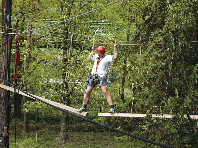 Divja akakonda, dve viseči majavi gugalnici Divja akakonda, dve viseči majavi gugalnici