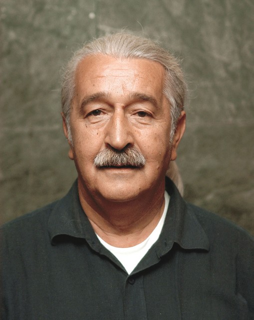 Šefik Suljević Šefik Suljević