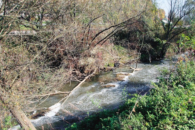 Edina prava in prepričljiva greznica v bližini županove hiše je rečica Voglajna Edina prava in prepričljiva greznica v bližini županove hiše je rečica Voglajna