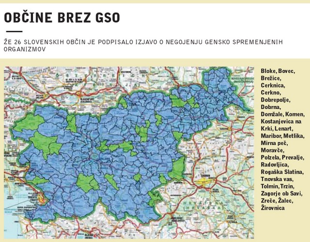 Občine brez GSO - že 26 slovenskih občin je podpisalo izjavo o negojenju gensko spremenjenih organizmov Občine brez GSO - že 26 slovenskih občin je podpisalo izjavo o negojenju gensko spremenjenih organizmov