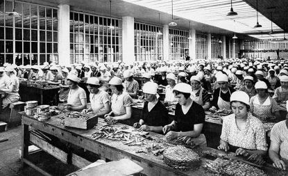 Tako so v tovarni Ampelea delavke v letih 1948-1950 ročno čistile ribe za vlaganje v konzerve (Kramar 2002) 