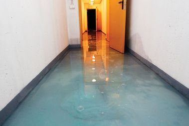 Vegrad je šel v stečaj, Hilda Tovšak se je upokojila, zadnji veliki projekt tega nekoč uspešnega gradbenega podjetja, stanovanjska soseska Celovški dvori v ljubljanski Šiški, pa je ostal nedokončan. Stanovanja so sicer suha, toda podzemne kleti in garaže so bile še v začetku tega meseca, ko so fotografi še lahko prosto vstopali v objekte, polne vode in plesni. Vegrad je šel v stečaj, Hilda Tovšak se je upokojila, zadnji veliki projekt tega nekoč uspešnega gradbenega podjetja, stanovanjska soseska Celovški dvori v ljubljanski Šiški, pa je ostal nedokončan. Stanovanja so sicer suha, toda podzemne kleti in garaže so bile še v začetku tega meseca, ko so fotografi še lahko prosto vstopali v objekte, polne vode in plesni.