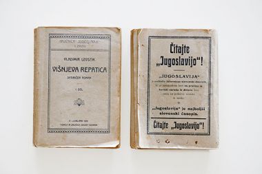 Naslovnica in zadnja stran knjige Višnjeva repatica