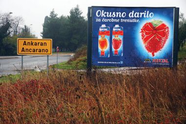 Ankaran - prepovedan sadež?