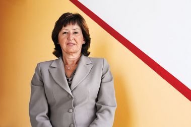 Lidija Apohal Vučković z urada za makroekonomske analize in razvoj opozarja, da ni evropske države, ki bi denarno socialno pomoč imela določeno na vrednosti mediane dohodka, torej na višini srednje vrednosti vseh dohodkov v državi. &raquo;Vse zelo odstopajo navzdol.&laquo;