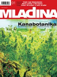 Mladina 1/2002