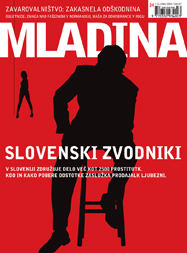 Mladina 24/2004