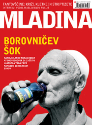 Mladina 30/2004
