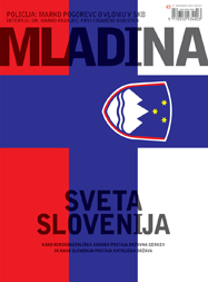 Mladina 45/2005