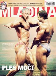 Mladina 4/2009