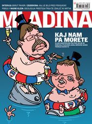 Mladina 12/2009