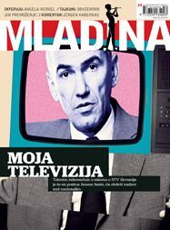 Mladina 44/2010