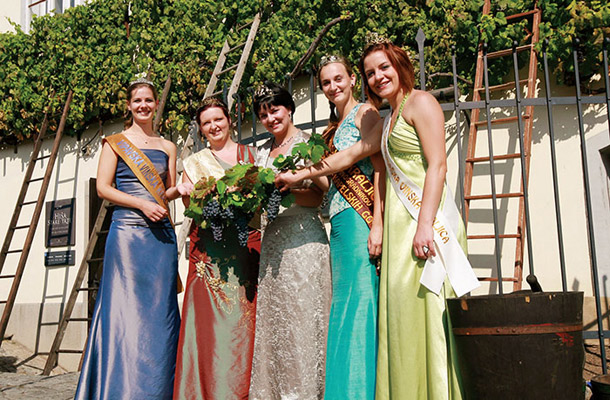 Njihova vinska kraljevska visokost: Ksenja Arbeiter, Tina Rajh, Andreja Plohl, Aleksandra Kelemina in Lea Mlečnik, Trgatev Stare trte, MB | Marko Pigac